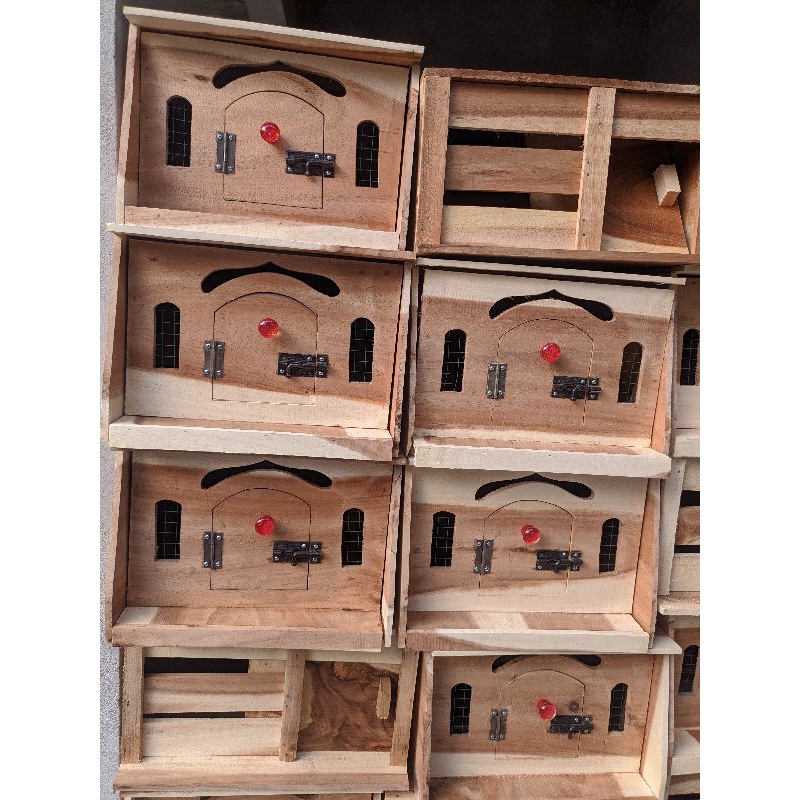 Pagupon Merpati Dara Perkutut Gupon Merpati Dara Perkutut Dara Merpati size sedang Siap Ternak Media