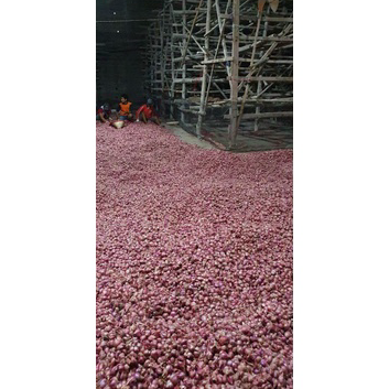 

Murah BAWANG MERAH BREBES UKURAN SUPER 1KG