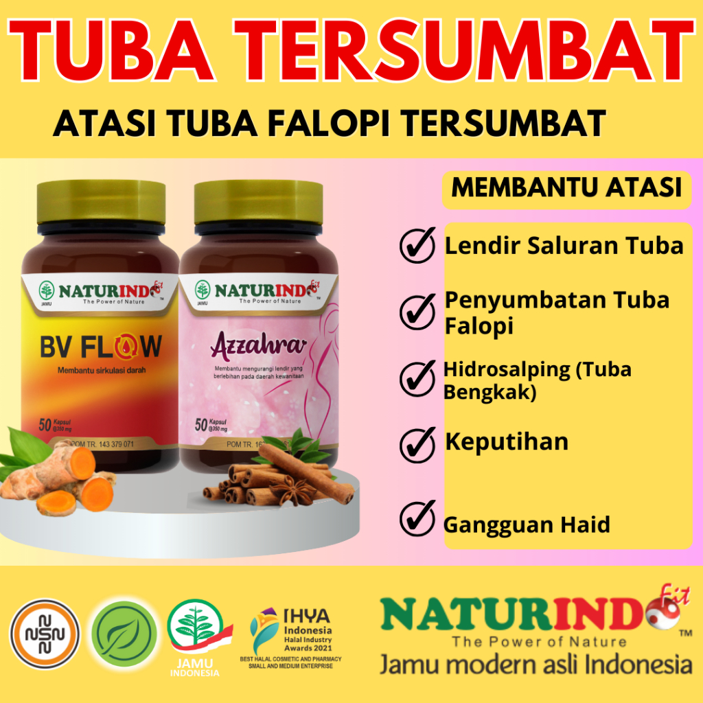 Tuba Falopi Tersumbat Obat Hidrosalping Obat Tuba Falopi Tersumbat Tuba Tersumbat Obat Penyumbatan F