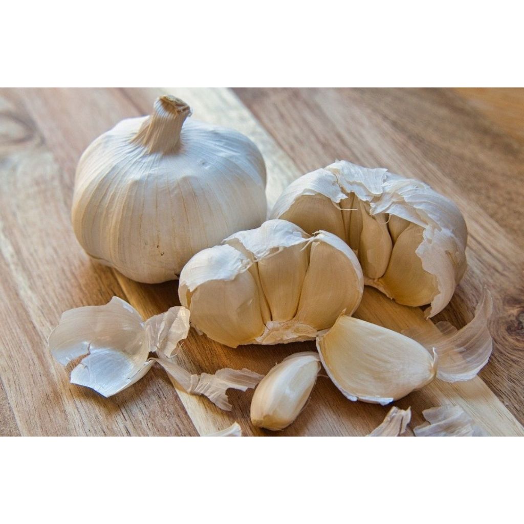 

bawang putih