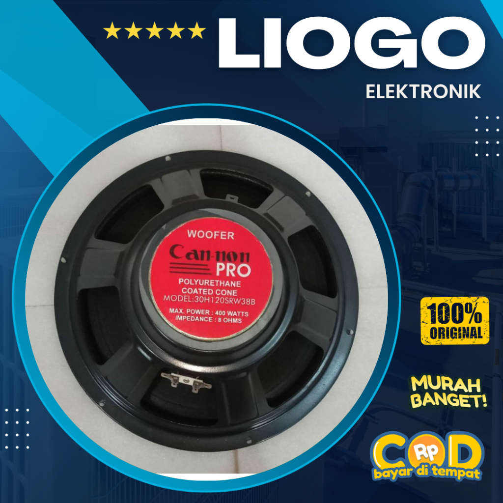 Speaker 12 Inch Woofer Canon 400 Watt Canon 12 inch Woofer SRW 38B Cannon Pro 12 Inch