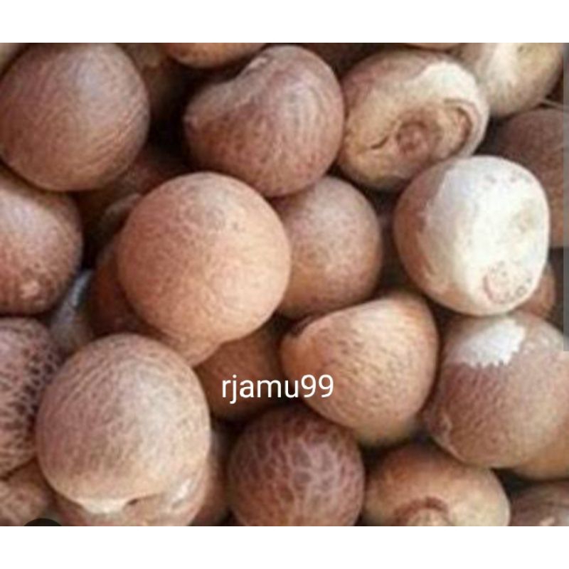 

Pinang Tua Kering Utuh 100g