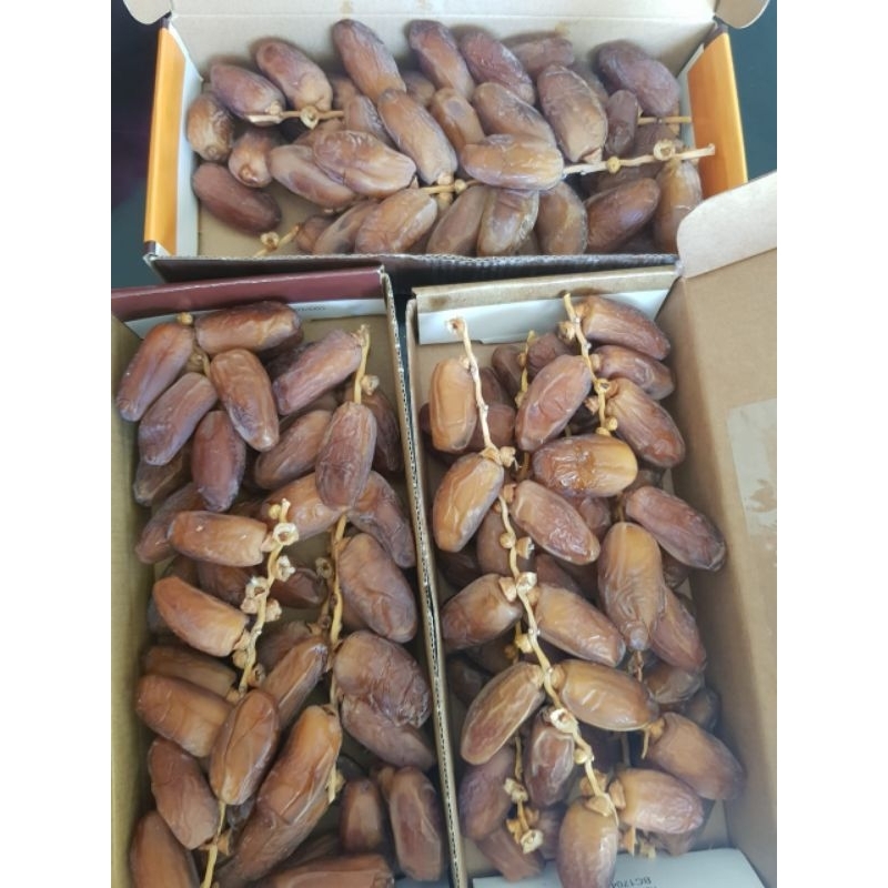 

Kurma Tunisia Tangkai Kemasan Dus Premium 500 gram