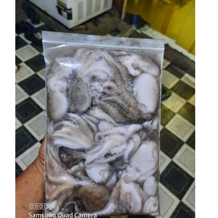

Baby Gurita Octopus 1Kg