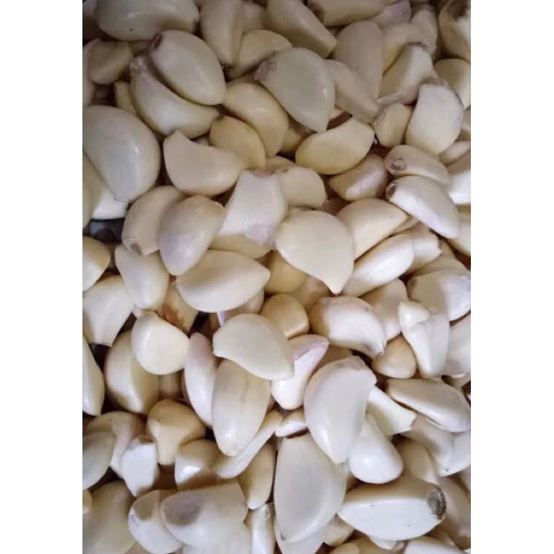

Bawang sinco 1kg