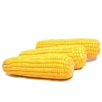 

Jagung manis kupas isi 3