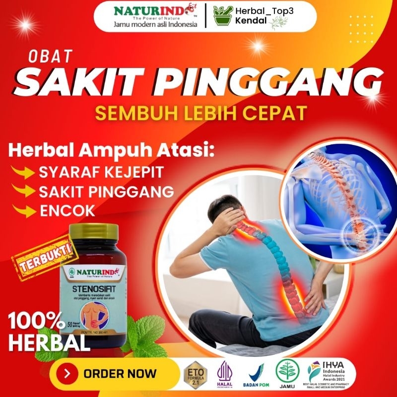 Obat herbal syaraf saraf kejepit terjepit Obat nyeri Sendi Obat sakit Otot pinggang betis bokong Leh