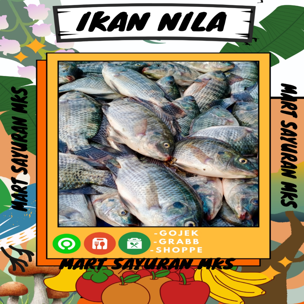 

Ikan nila