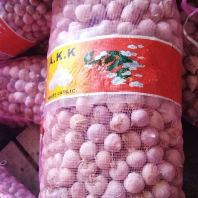 

Bawang Putih Lanang Tunggal Berat 500gr Ukuran Kecil Tanggung Besar Kualitas Bagus Sudah Sortir