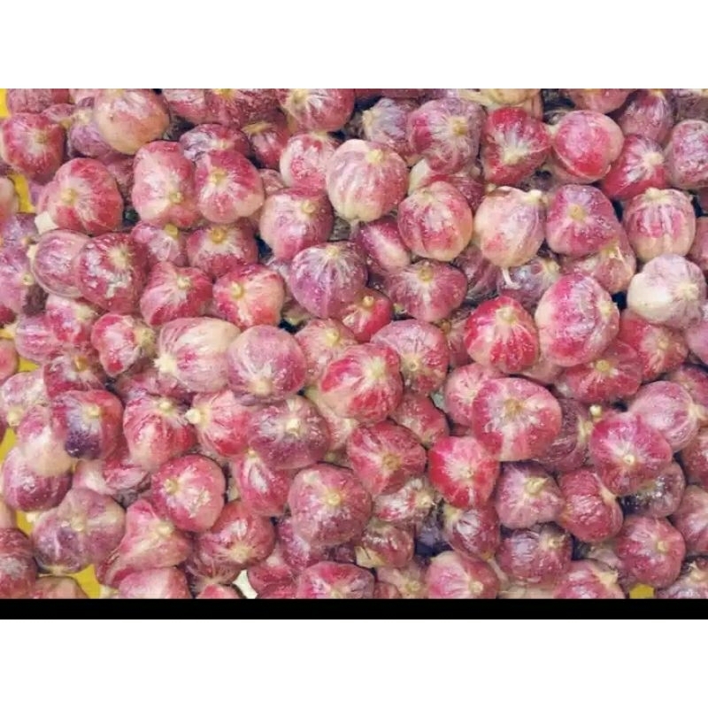 

kapol laga basah 1kg