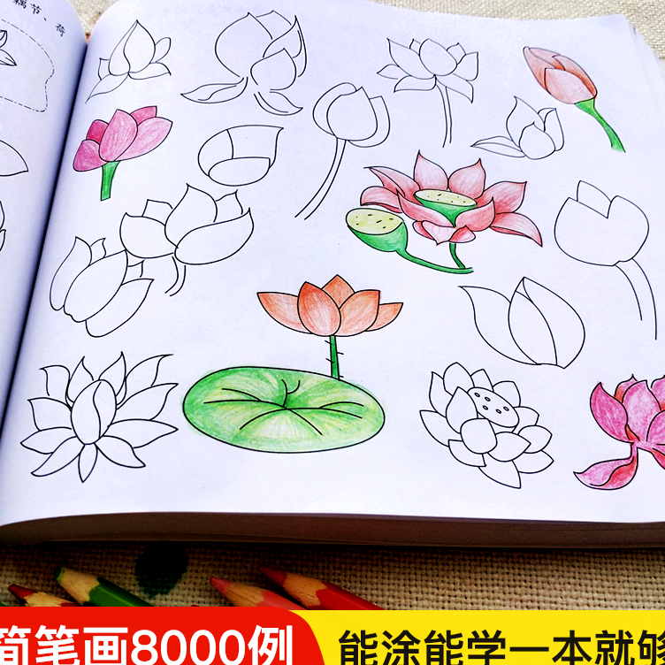 

Terkini Buku Mewarnai 8000 Gambar TK PAUD Anak Sekolah Belajar / Coloring Book 8000