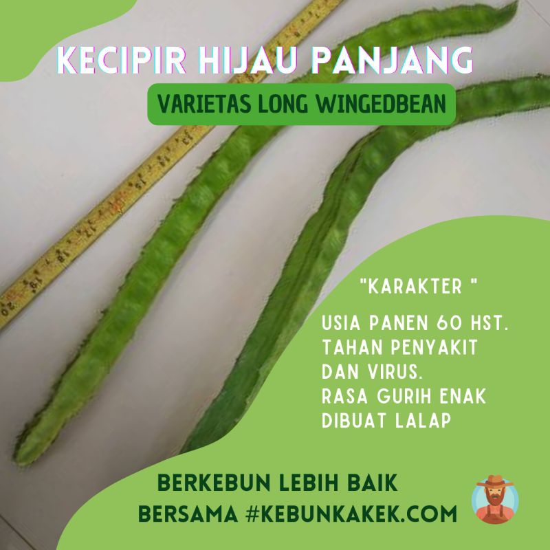 Benih Bibit Kecipir Panjang Isi 5 Biji