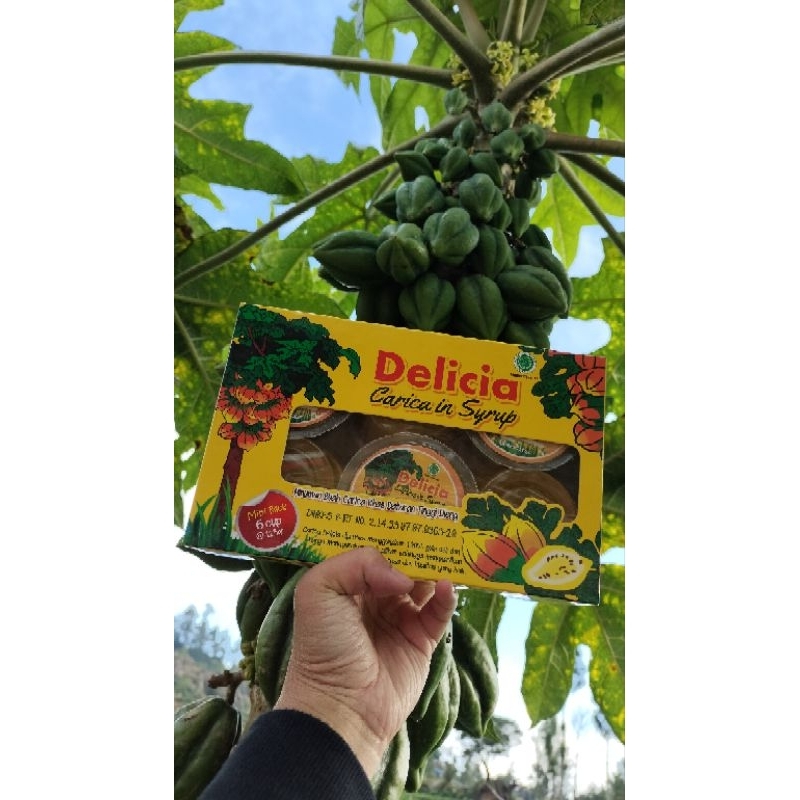 

CARICA DELICIA ISI 6 CUP KEMASAN KARDUS//CARICA DIENG PREMIUM GULA ASLI