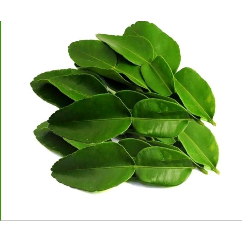 

Daun jeruk 10 gram