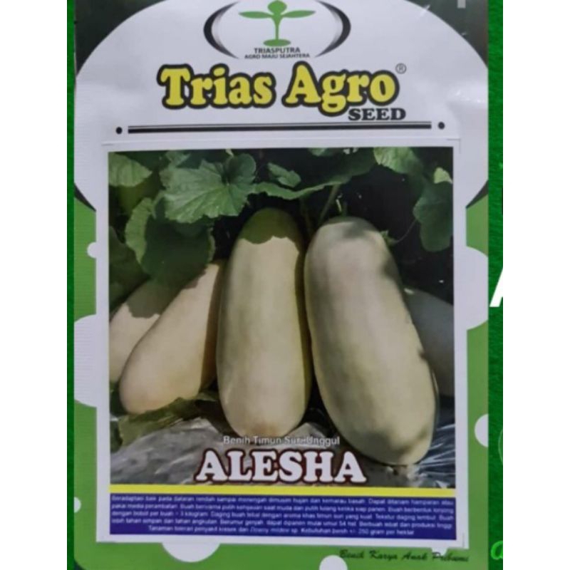 Bibit Benih Timun Suri Unggul ALESHA isi 10 Gram Bibit Timun Suri Unggul