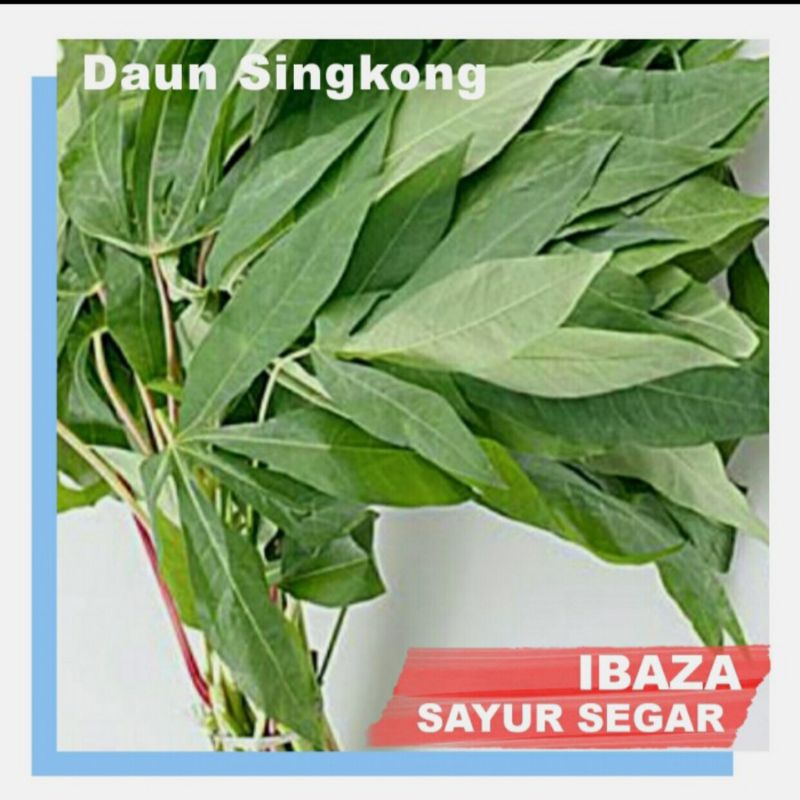 

Sayur Daun Singkong Sayuran Segar IBAZA fruitsBOX