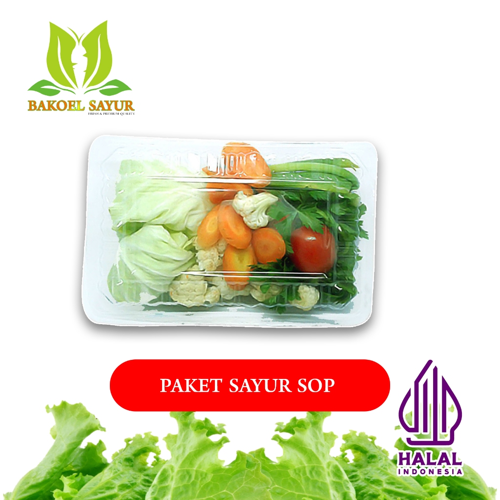 

PAKET SAYUR SOP SIAP MASAK