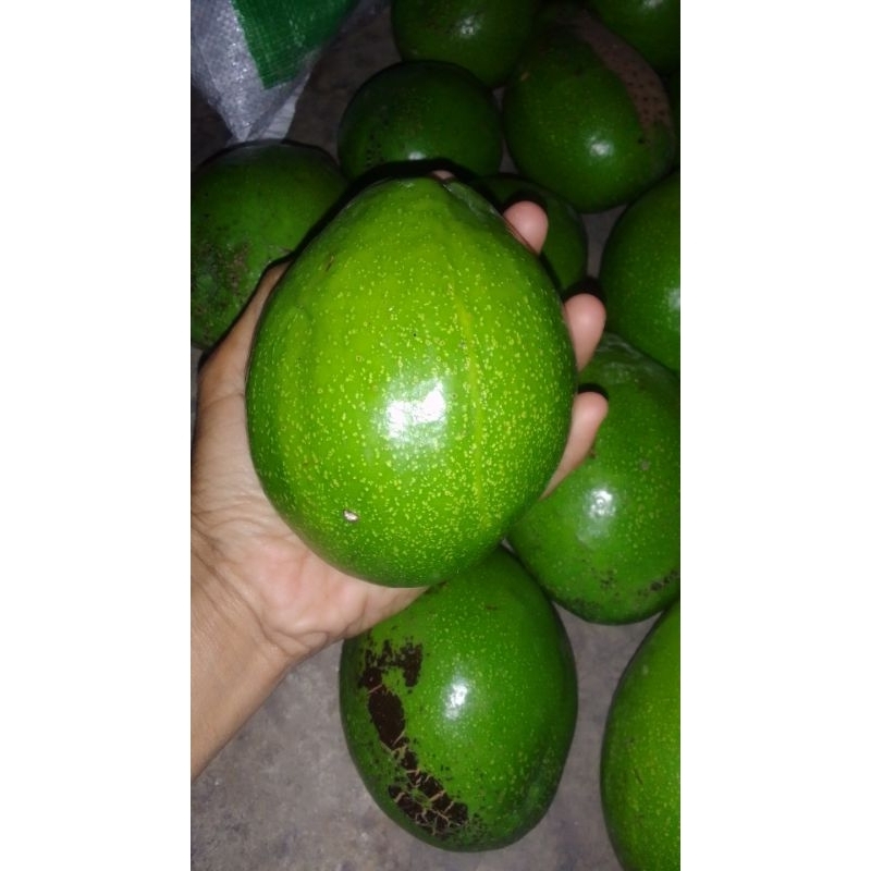 

apukatmentega