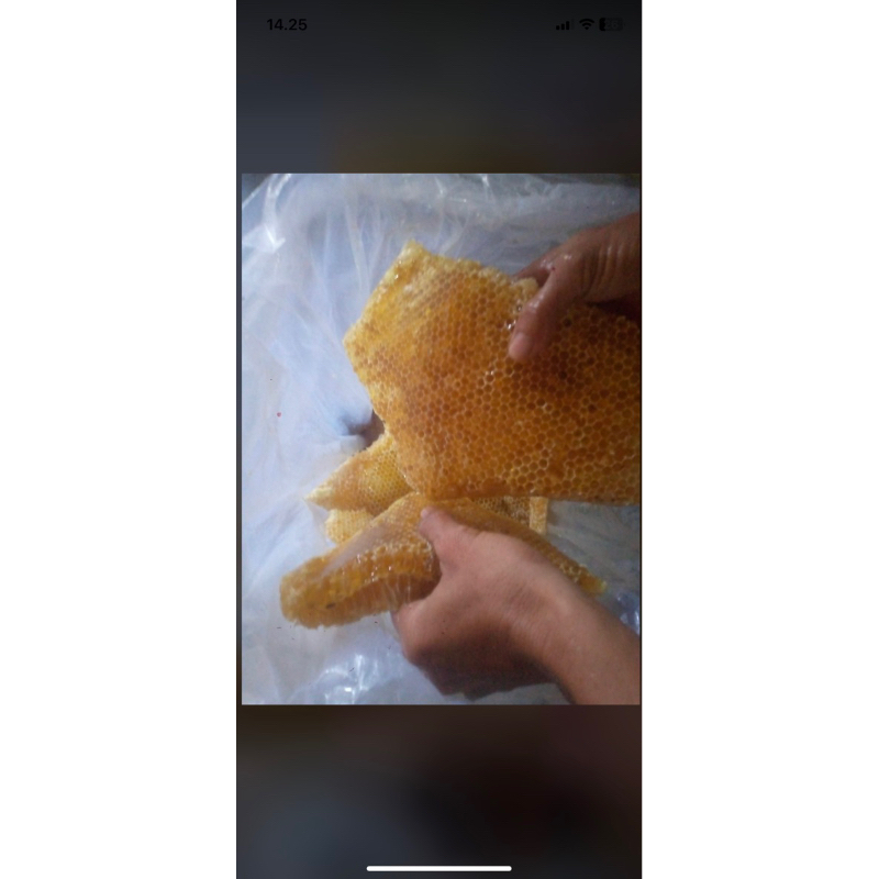 

madu sialang lubuk linggau