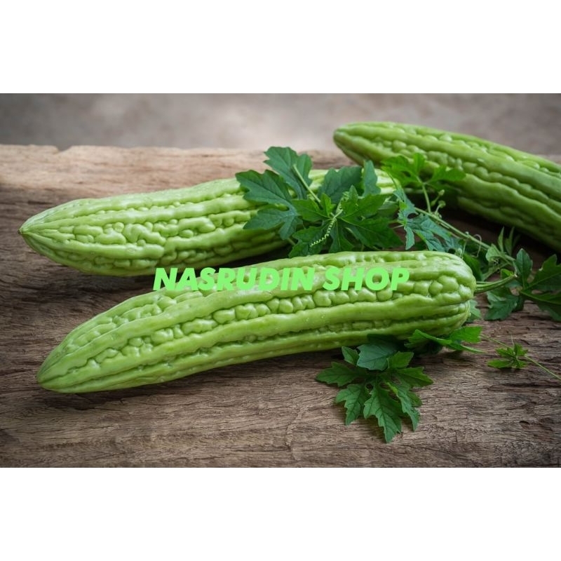 

BUAH PARIA SEGAR LANGSUNG PETIK DARI PETANI / BUAH PARE SEGAR