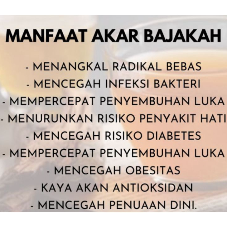 

Diskon Promo Akar Bajakah 1kg Kalalawit Merah Asli Kalimantan