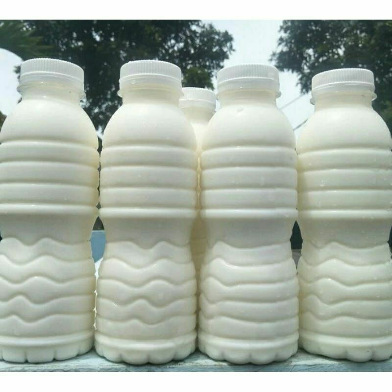 

Susu Kambing Murni 100% Asli Kemasan Botol 200ml