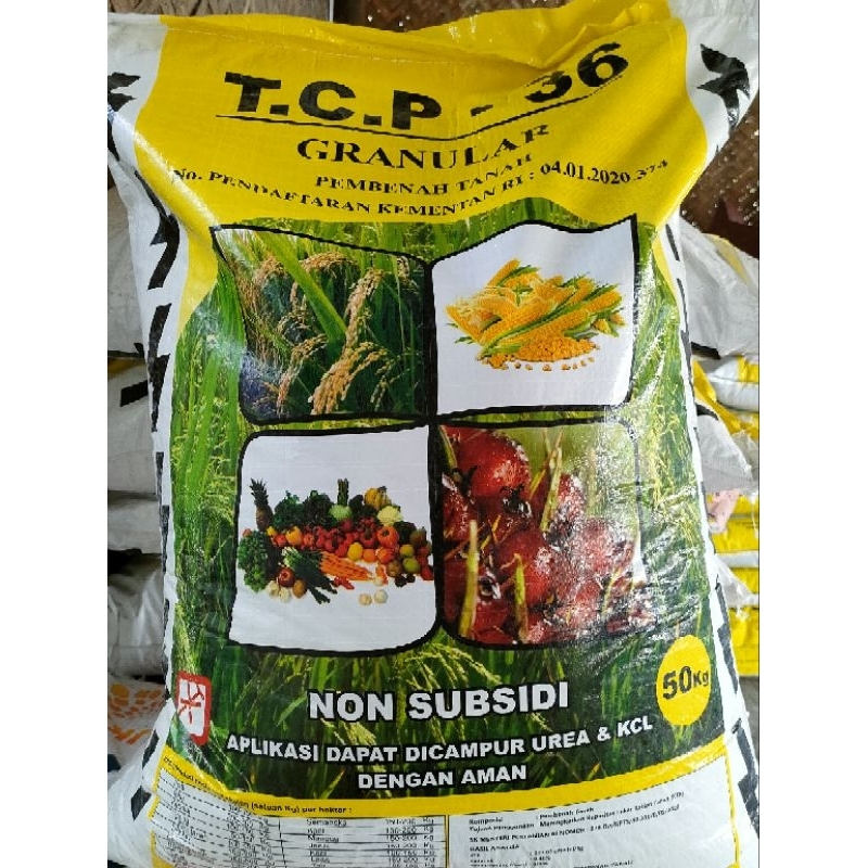 Pupuk TCP 36- 1 KG