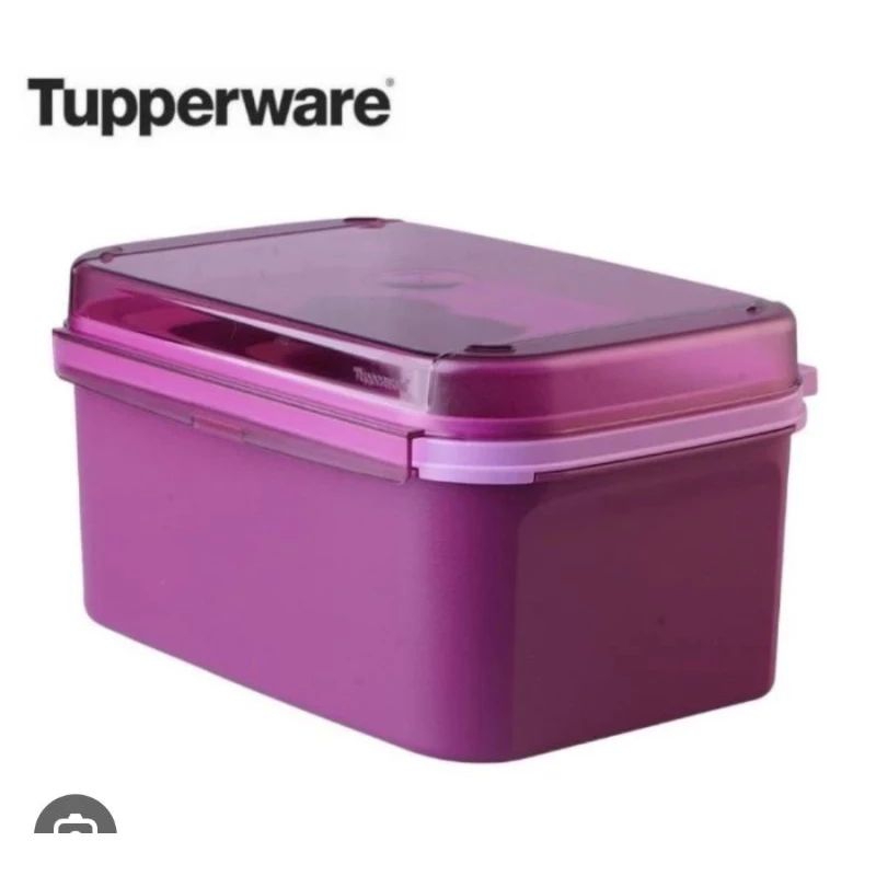 Signature/ Ezy Keeper Tupperware
