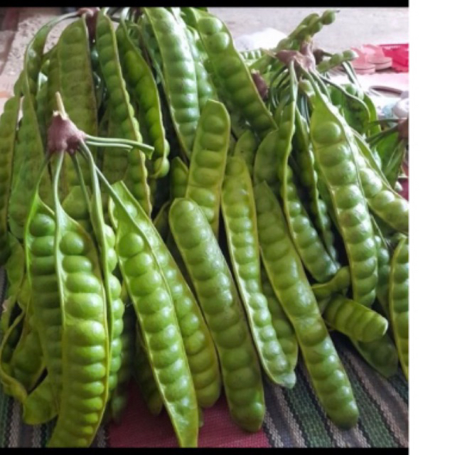 

pete /papan Rp.15.000