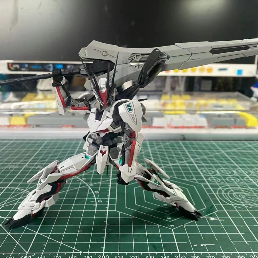 HG 1/144 Astray LOAD OMEGA WIE MENG BRAND