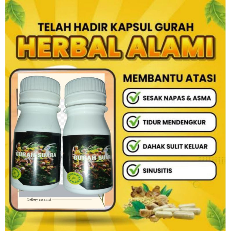 

GURAH SUARA KAPSUL (PEMERDU SUARA)