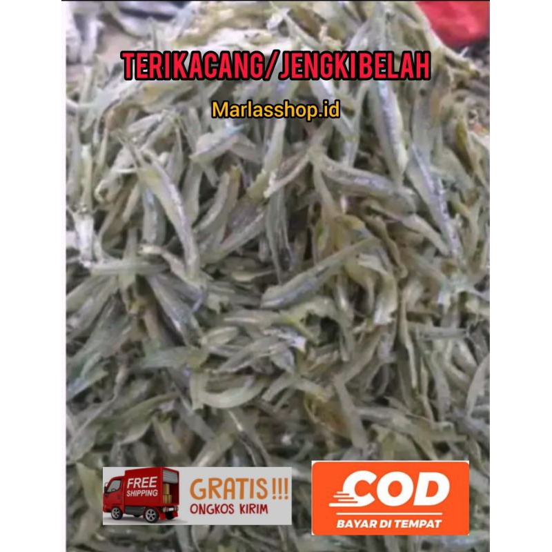 

TeriJengki /kacang Belah Medan 1 Kg