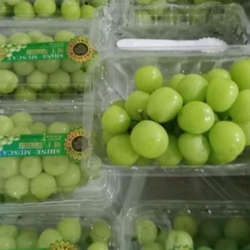 

ANGGUR SHINE MUSCAT SATU BOK