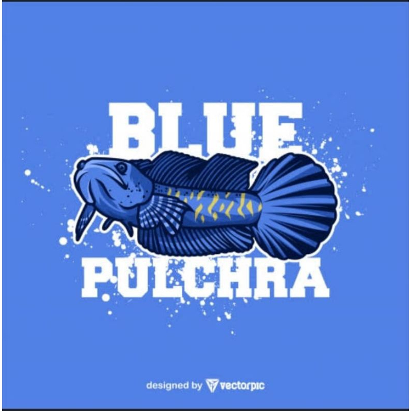 

sticker bule fulchra ukuran 12 cm