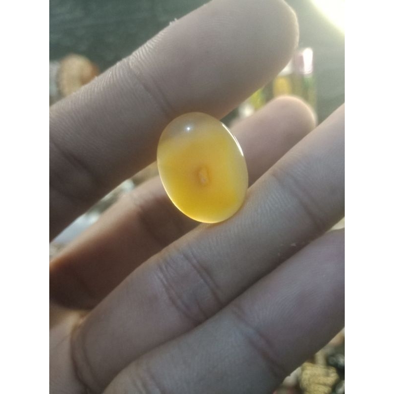 combong madu pem1kat