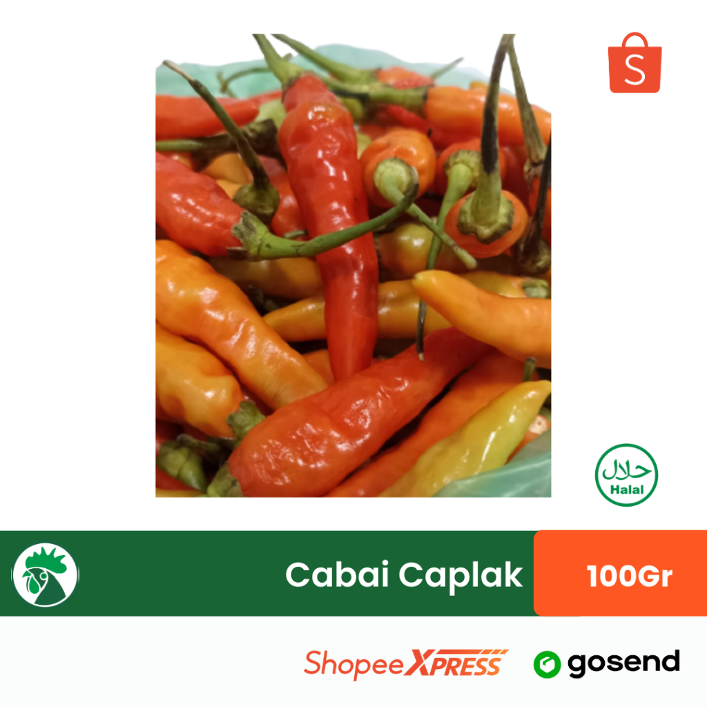 

Cabai Caplak | Cabe Setan | Cabe Ayam Geprek