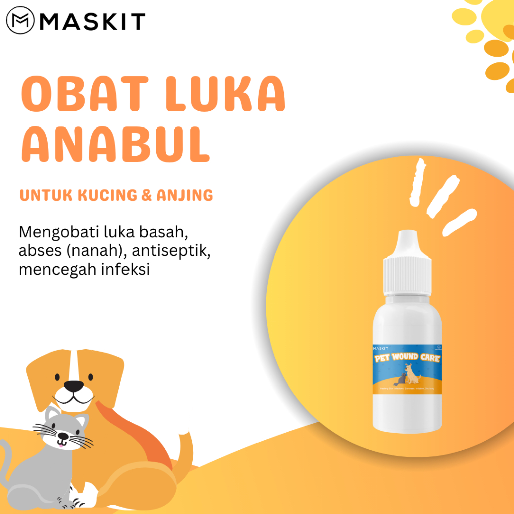 Obat Luka Luar Luka Lebar Kucing dan Abses Nanah pada Kulit Anabul Kucing Anjing