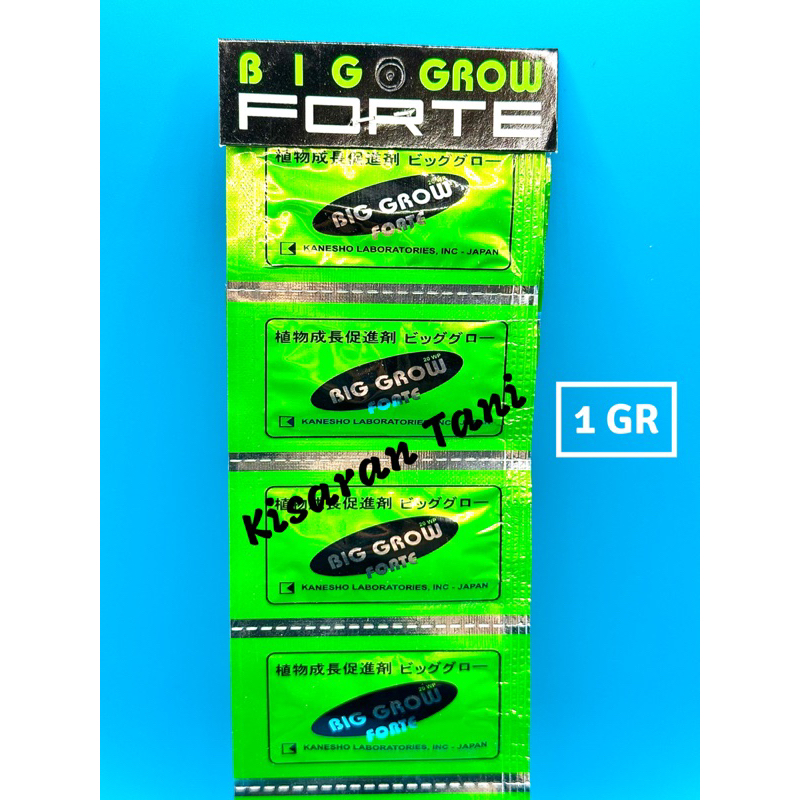 Big Grow Forte Sachet @1 Gram ZPT Tanaman Giberelin