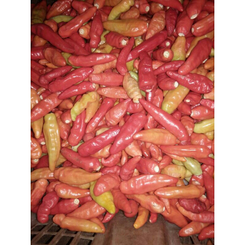 

cabe rawit merah segar petik 500 g