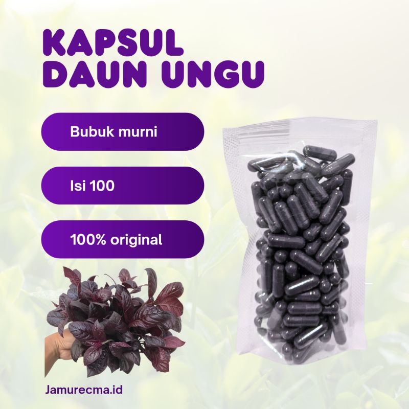 

KAPSUL DAUN UNGU ISI 100 | AMBEYEN WASIR