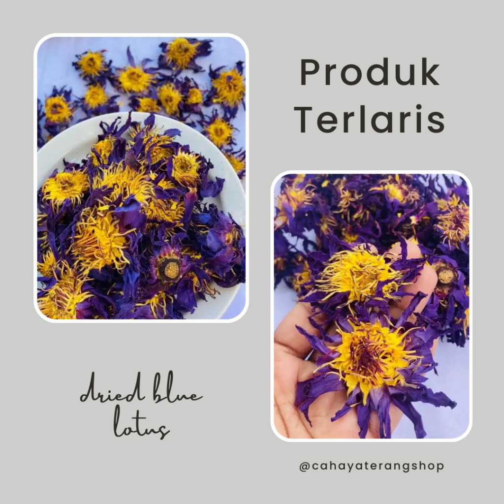 TESTER BUNGA LOTUS BIRU KERING / DRIED BLUE LOTUS PREMIUM 