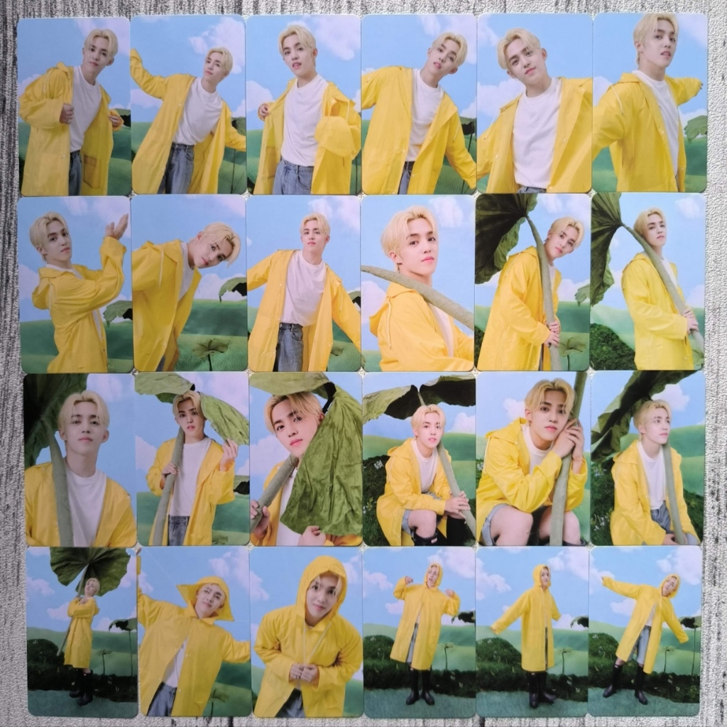(READY) SEVENTEEN - SEVENTEENTH HEAVEN CARAT VER CARVER PHOTOCARD BOOKLET SCOUPS