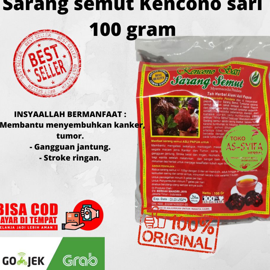 

KZBM7724 Dijamin Ori Sarang Semut Asli Papua Super Original Kencono Sari Herbal Kanker Tumor dan Struk