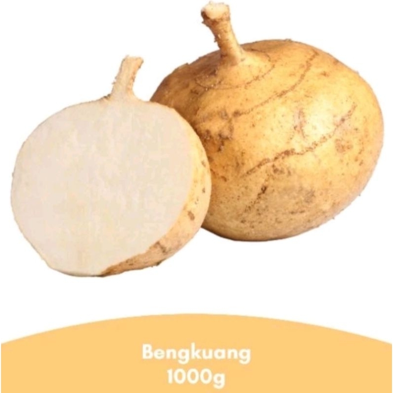 

Bengkuang fresh 1000grm
