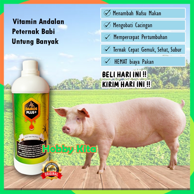Vitamin babi mempercepat besar DAMOS PLUS vitamin babi nafsu makan obat cacing babi suplemen penggemuk ternak babi vgt nutrisi viterna