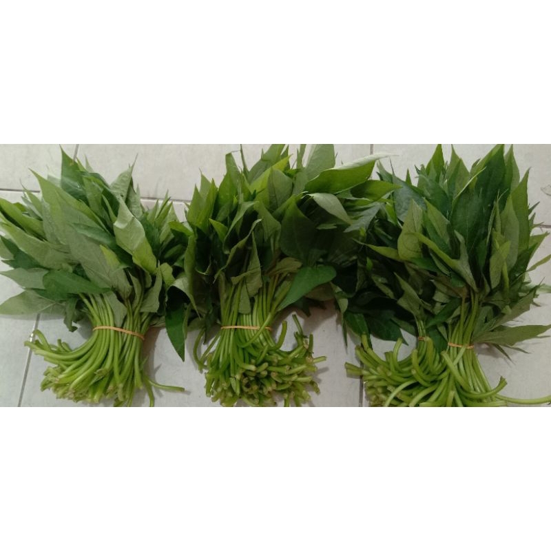 

Daun ubi selo /Jalar