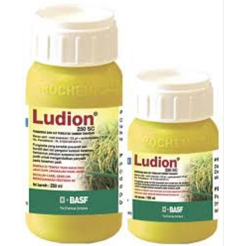 Fungisida dan ZPT Ludion 80ml  Bahan Aktif Metil kresoksim Epoksikonazol