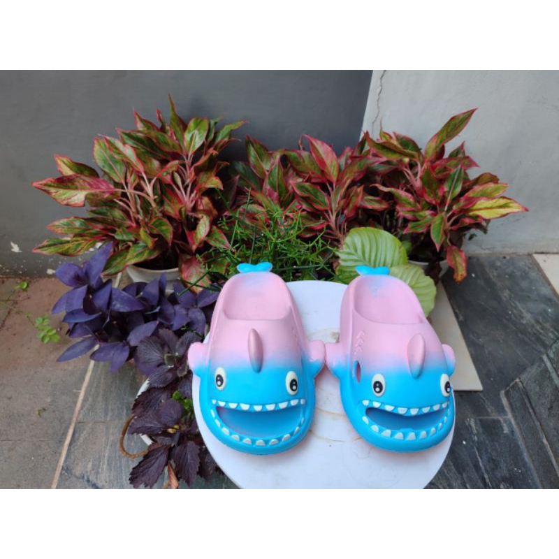 sendal lucu sendal karakter sendal hiu sendal jelly sendal jelly anak