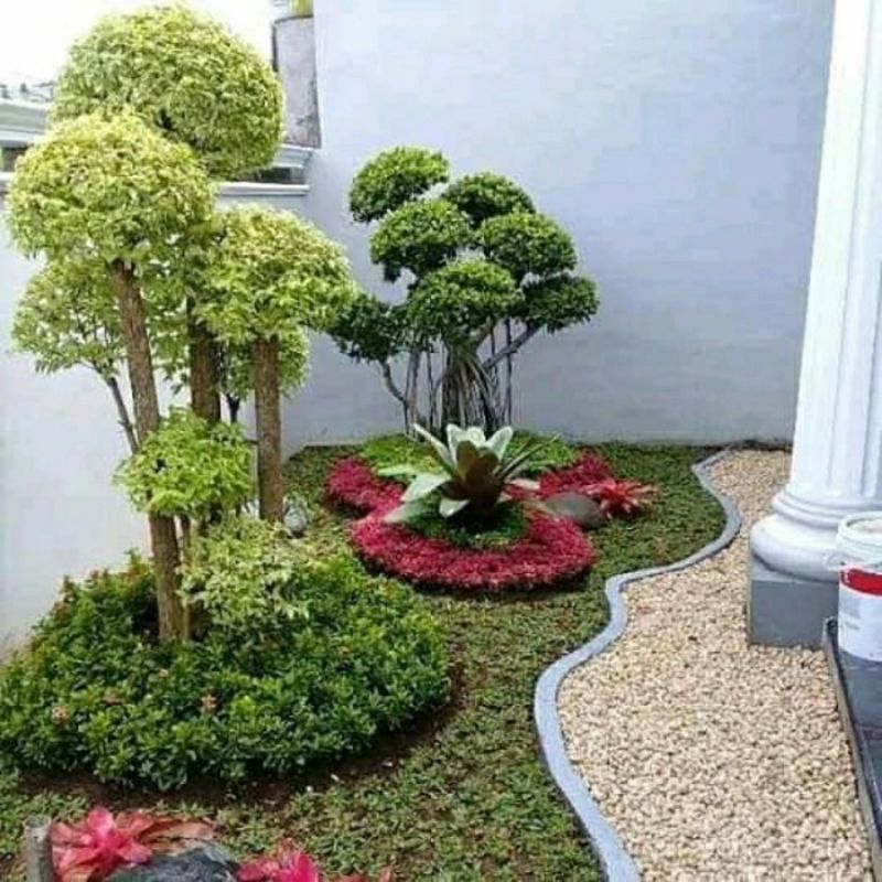 Jasa pembuatan taman Rumah - Taman rumput - taman minimalis