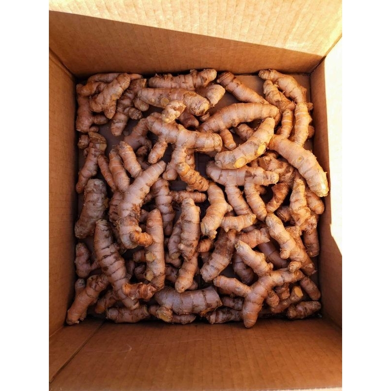 

(Empon Empon) KUNIR/KUNYIT 500gr